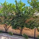 Casachiara